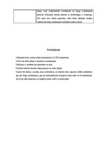 Paraugs 'Bakalaura un maģistra darbu analīze', 7.