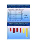 Referāts 'Latvijas ekonomiskā attīstība', 12.