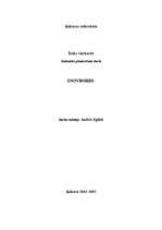 Referāts 'Snovbords', 1.