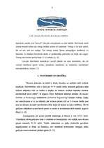 Referāts 'Snovbords', 6.