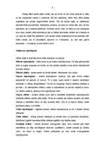 Referāts 'Snovbords', 9.