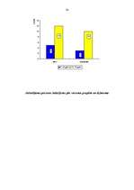 Referāts 'Snovbords', 24.