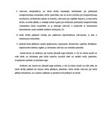 Referāts 'Iedzīvotāju ienākuma nodokļa aprēķināšana un uzskaite', 17.