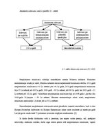 Referāts 'Iedzīvotāju ienākuma nodokļa aprēķināšana un uzskaite', 21.