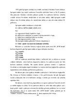 Diplomdarbs 'SIA "KTB Stende" saimnieciskās darbības analīze', 102.