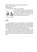 Konspekts 'Vēsturiskā deja - menuets', 3.