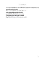 Konspekts 'Latvijas un Igaunijas sociālo darbinieku ētikas kodeksu salīdzinājums', 8.