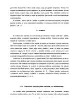 Referāts 'Tuberkuloze Liepājā', 10.