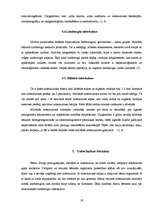 Referāts 'Tuberkuloze Liepājā', 17.