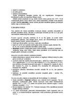 Konspekts 'Zemes vēsture. Visuma, Saules un planētu rašanās. Zvaigznes evolūcijas stadijas', 6.