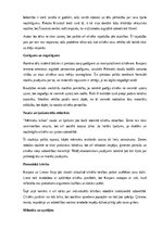 Konspekts 'Brāļu Kaudzīšu romāna “Mērnieku laiki” literāro tēlu analīze', 8.