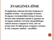 Prezentācija 'Vidzemes etnogrāfiskās rakstu zīmes', 3.