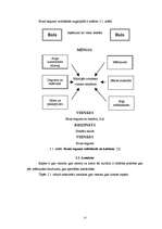 Referāts 'Rapša audzēšana un izmantošana Latvijā', 13.
