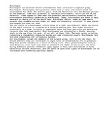 Eseja 'Brachiopod', 1.