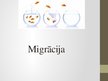Prezentācija 'Migrācijas process', 1.