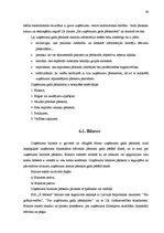 Diplomdarbs 'SIA "X motors" gada pārskata analīze un novērtēšana', 24.