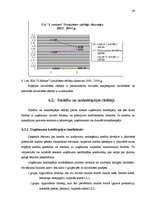 Diplomdarbs 'SIA "X motors" gada pārskata analīze un novērtēšana', 43.