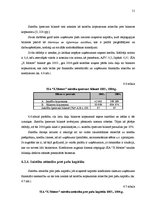 Diplomdarbs 'SIA "X motors" gada pārskata analīze un novērtēšana', 46.