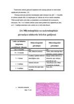 Referāts 'Miokarda infarkts', 11.