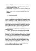 Referāts 'Miokarda infarkts', 15.