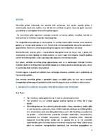 Referāts 'Monolītās grīdas', 3.