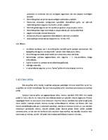 Referāts 'Monolītās grīdas', 4.