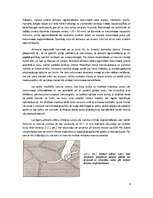 Referāts 'Monolītās grīdas', 9.