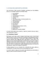 Referāts 'Monolītās grīdas', 13.