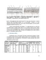 Referāts 'Monolītās grīdas', 19.