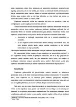 Prakses atskaite 'Naudas līdzekļu veidi un to veidošanās avoti', 6.