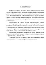 Referāts 'Interneta mārketings', 9.