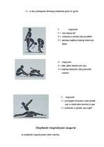 Referāts 'Vingrojumi ar nūju muguras muskuļiem', 8.