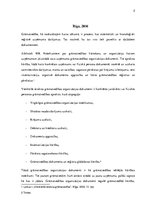 Konspekts 'Grāmatvedības attaisnojuma un uzskaites dokumenti', 2.