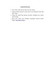 Referāts 'Sistemātiskā domāšana', 15.