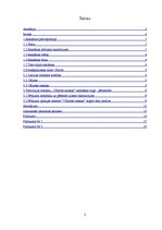 Referāts 'Televīzijas reklāmu "OKartes maskas" ienākšana tirgū', 3.