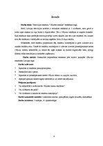 Referāts 'Televīzijas reklāmu "OKartes maskas" ienākšana tirgū', 4.