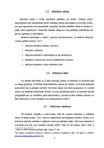 Referāts 'Televīzijas reklāmu "OKartes maskas" ienākšana tirgū', 6.