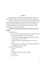 Referāts 'Mācību vide un tās veidošana pirmsskolā', 12.