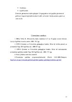 Referāts 'Mācību vide un tās veidošana pirmsskolā', 13.