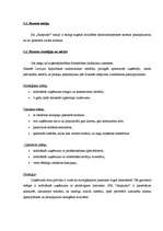 Referāts 'Uzņēmuma vadība', 5.