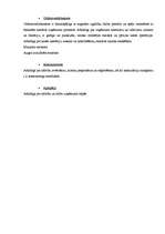 Referāts 'Uzņēmuma vadība', 8.