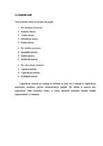 Referāts 'Uzņēmuma vadība', 15.