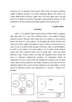 Diplomdarbs 'Mūsdienu pieeju mākslīgajam intelektam izpēte un praktisko lietojumu analīze', 20.