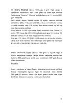 Referāts 'Basketbols un tā attīstība Latvijā', 22.