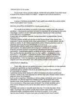E-grāmata 'Cilvēka anatomija: galvaskauss', 15.