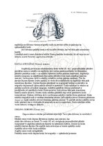 E-grāmata 'Cilvēka anatomija: galvaskauss', 22.