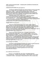 E-grāmata 'Cilvēka anatomija: galvaskauss', 25.