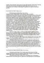 E-grāmata 'Cilvēka anatomija: galvaskauss', 26.