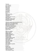 E-grāmata 'Cilvēka anatomija: galvaskauss', 31.