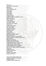 E-grāmata 'Cilvēka anatomija: galvaskauss', 32.